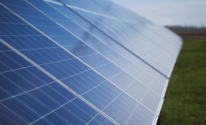Pallieter Group, Pala Group and Van der Valk purchase green electricity from Loon op Zand solar farm  